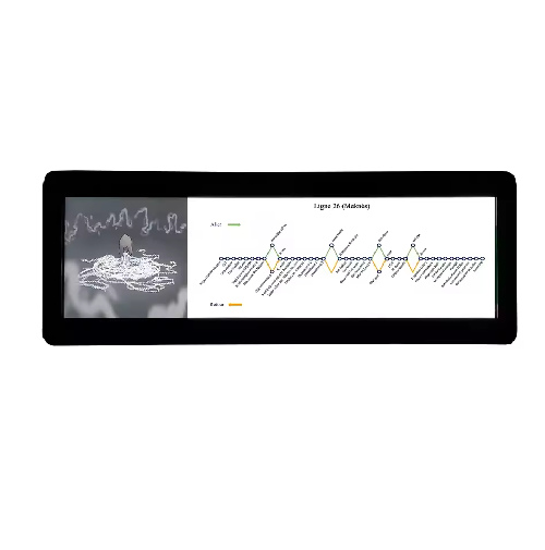 Cardlan Bus Stop Led Display Hanging Video Player Bus Monitor Roof Ceiling Lcd Tv Screen Multimedia Player Bus Digital Signage Lcd Display